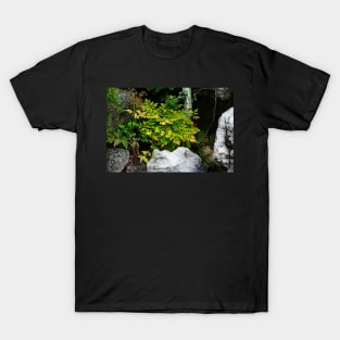 Hidden Berries T-Shirt